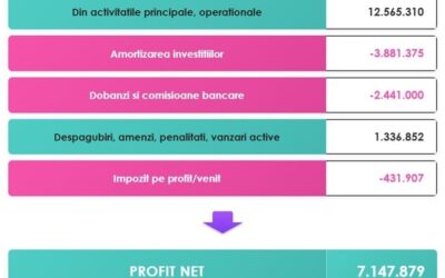 Profitul nu vine din VÂNZĂRI ci din CONTROL