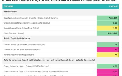 Cum sa investesti sanatos fara a-ti deteriora capitalul de lucru?